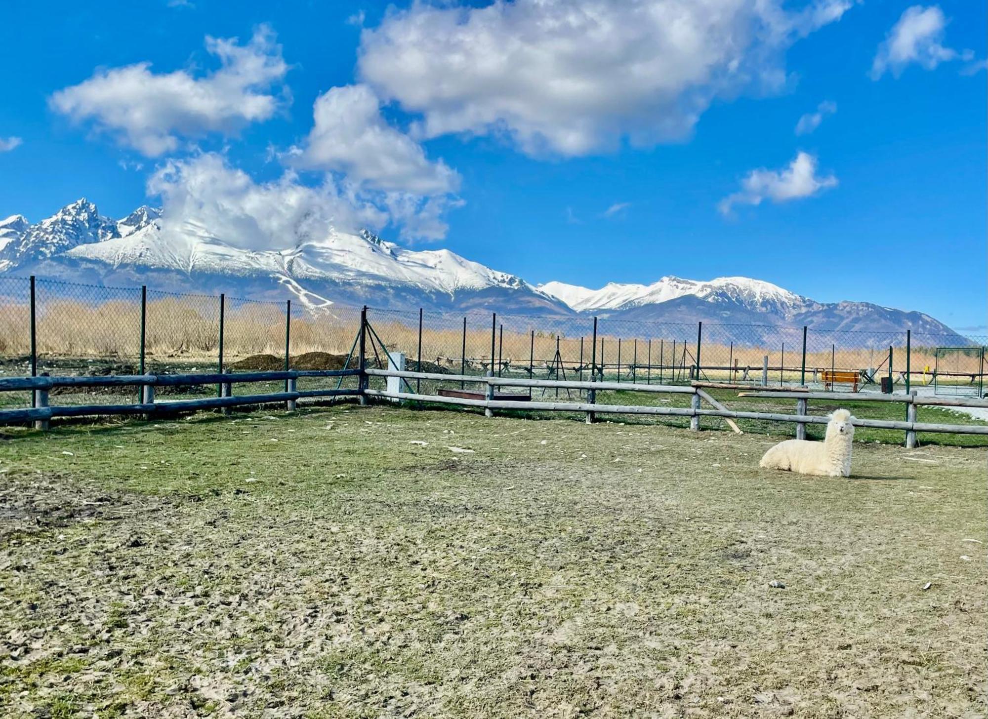 Apartment Kimo - Stunning View Of High Tatras فيلكا لومنيكا المظهر الخارجي الصورة